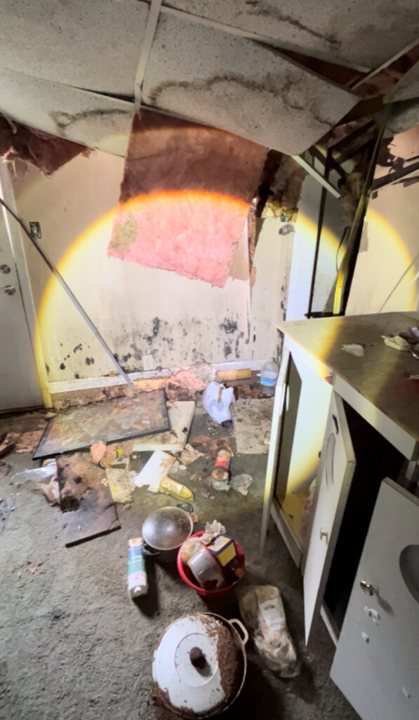 The Hidden Dangers of Mold in the Home