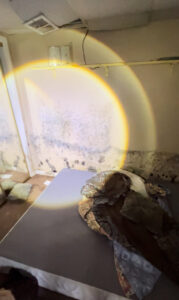 The Hidden Dangers of Mold in the Home