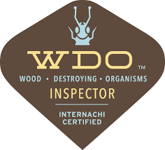 termite inspection