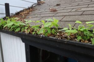 Winter Gutter Maintenance