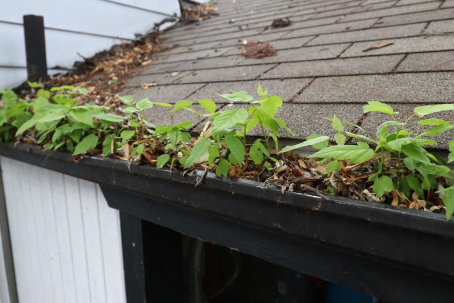 Winter Gutter Maintenance