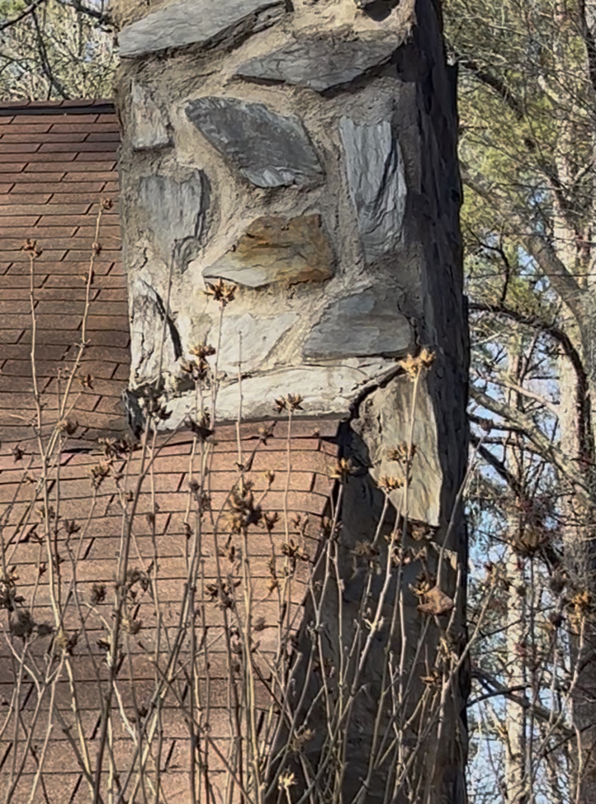 chimney lean